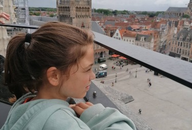 Brugge van bovenaf